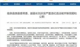 临泉最新爆料视频,一窥当地风云变幻